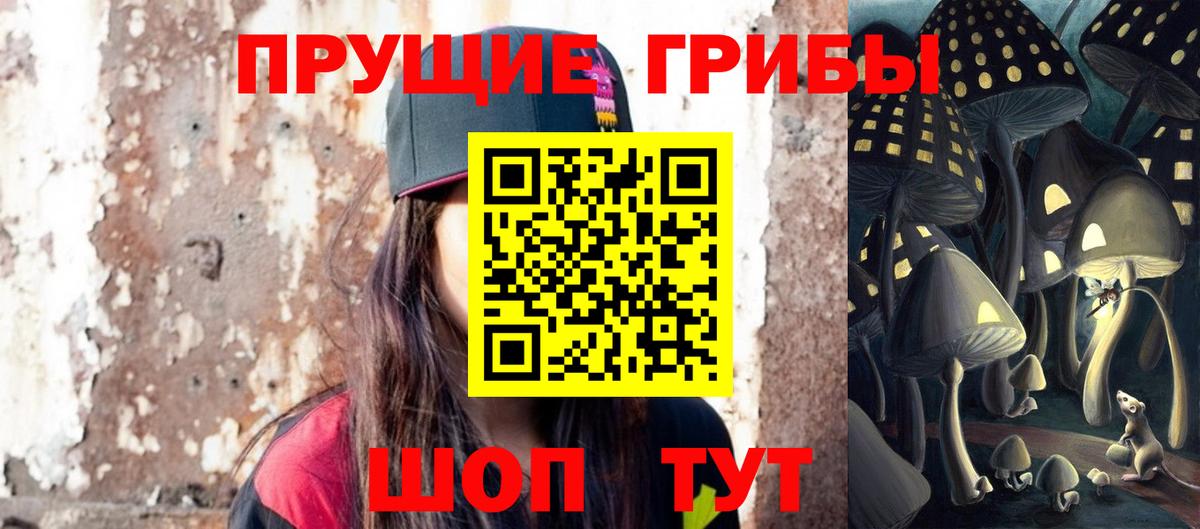 Галлюциногенные грибы GOLDEN TEACHER Черняховск