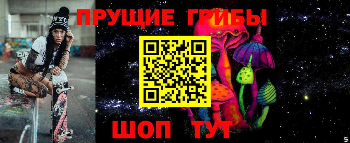 Галлюциногенные грибы GOLDEN TEACHER  Вход с VPN  Черняховск 