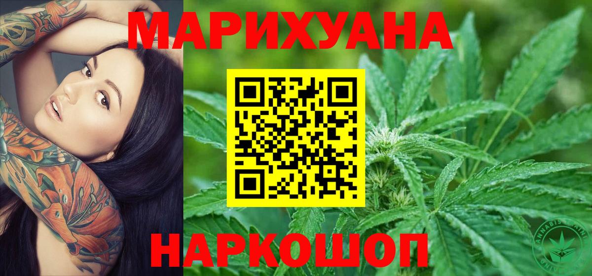 Конопля планчик Черняховск
