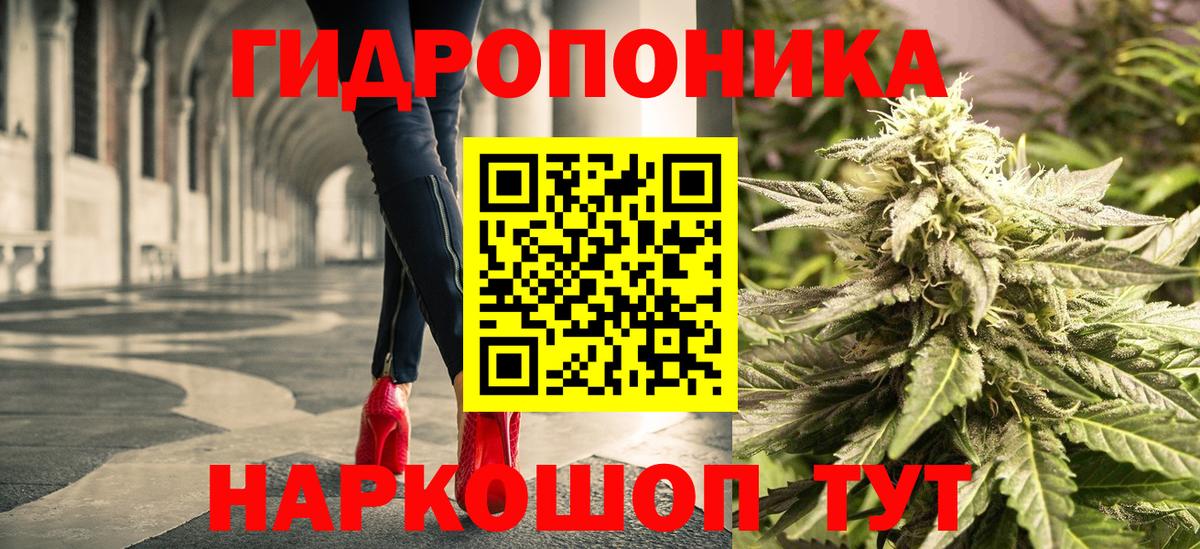 Каннабис индика  Бошки марихуана White Widow  Черняховск  Вход с VPN  Канабис Amnesia 